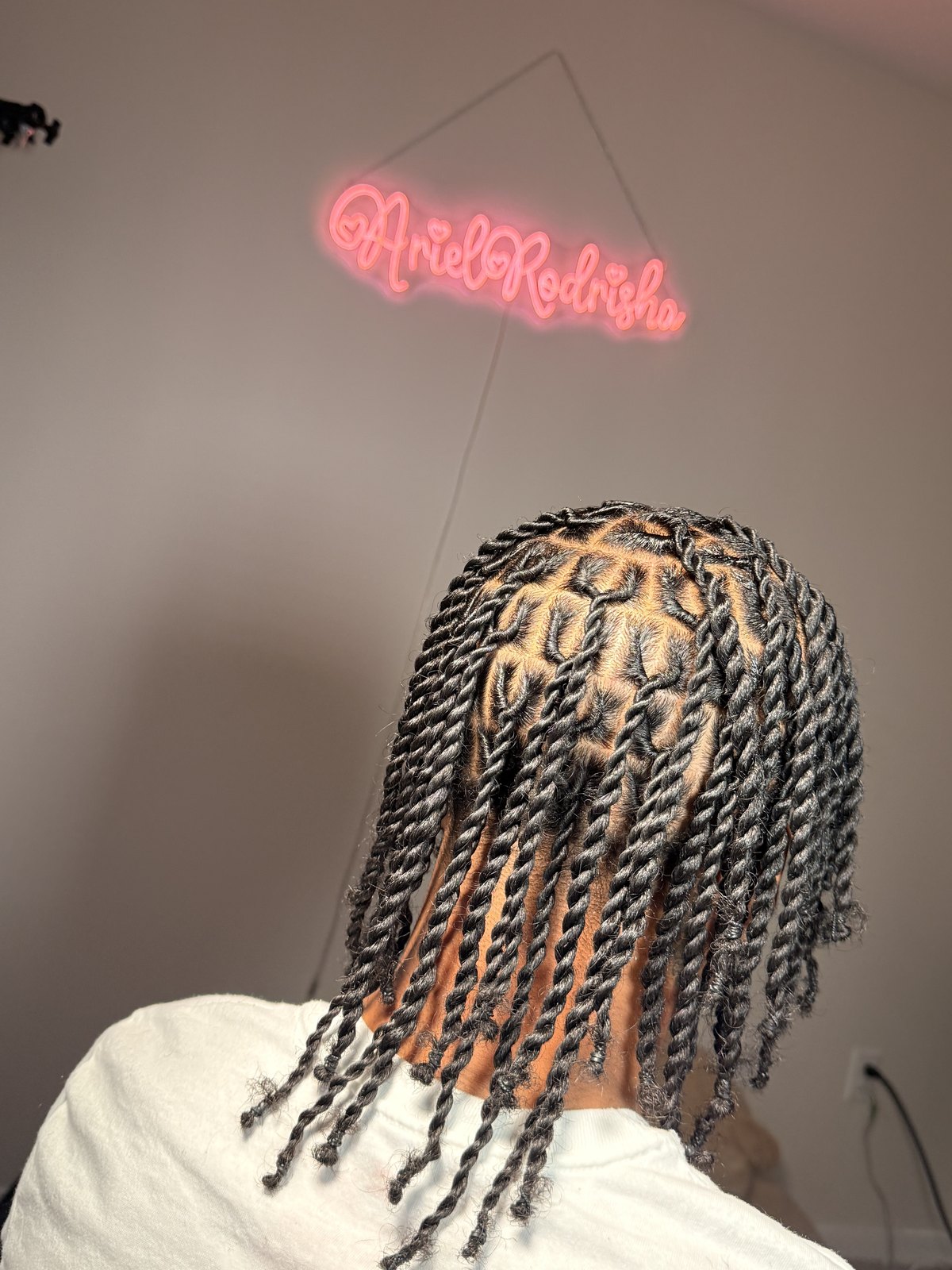 The back of a set of small twist braids, the parting pattern neat and even